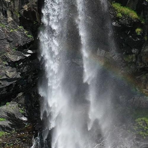 Photo #5111198