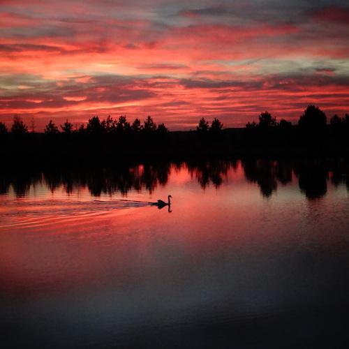 Photo #5111414