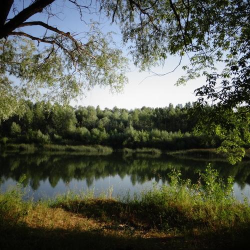 Photo #5111545
