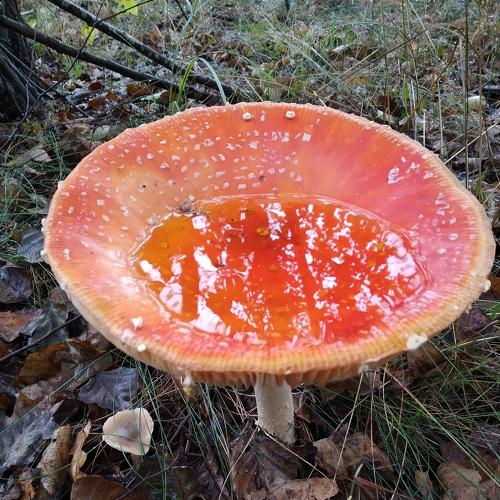 Photo #5112231