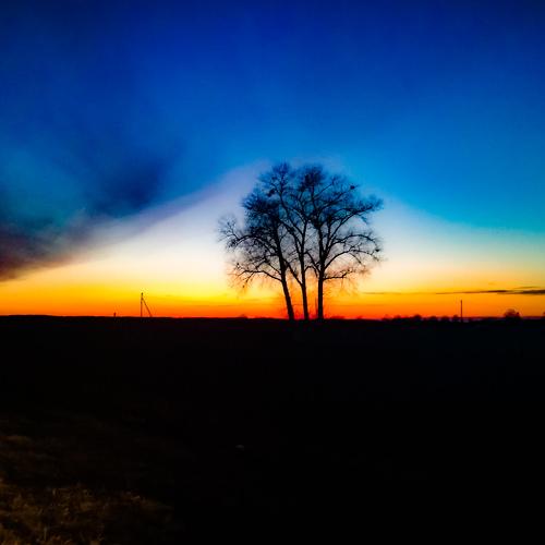 Photo #5112677