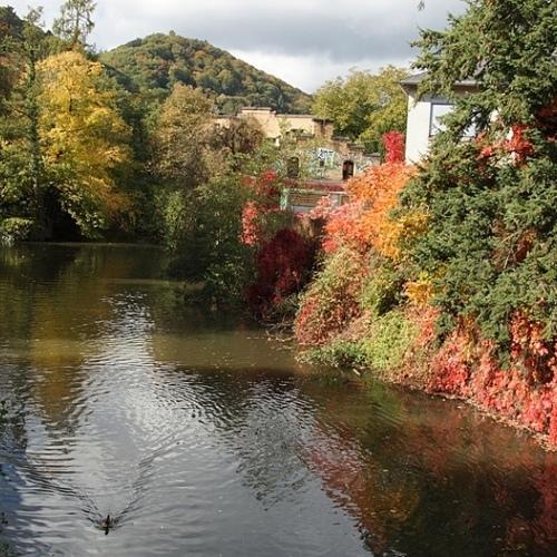 Photo #5112687