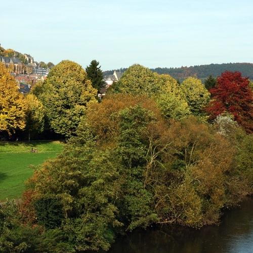 Photo #5112808