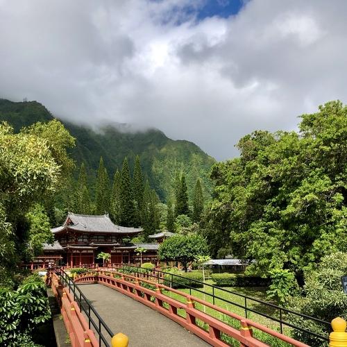 Photo #5112877