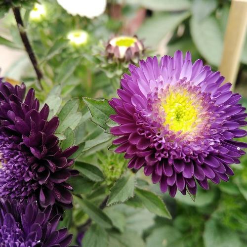 Photo #5113023