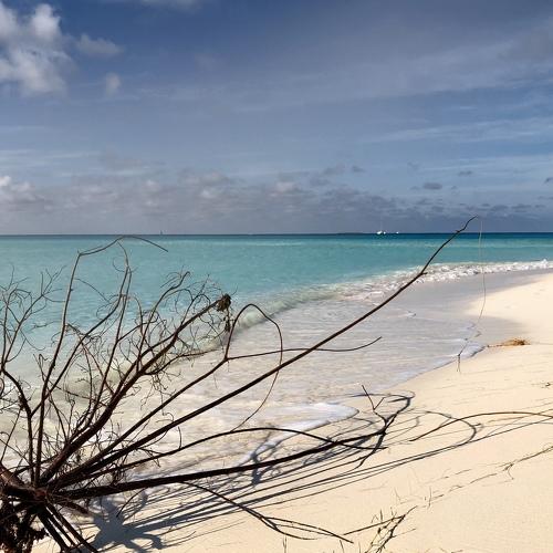 Photo #5113183