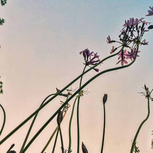 Photo #5113952