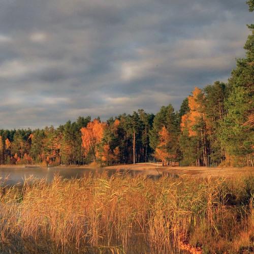 Photo #5113979