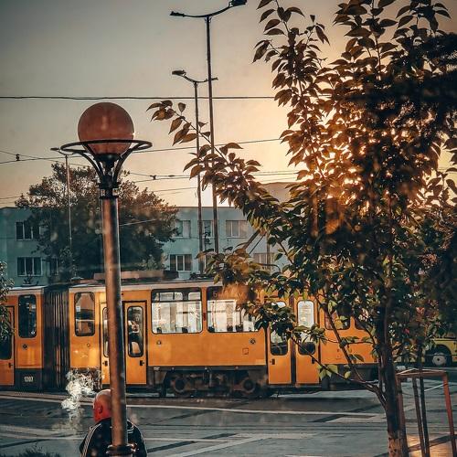 Photo #5114146