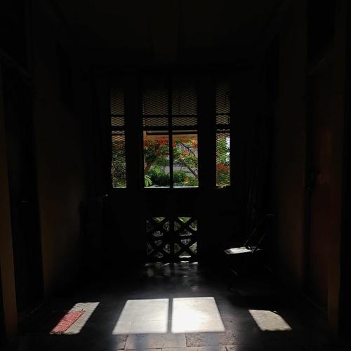 Photo #5114204