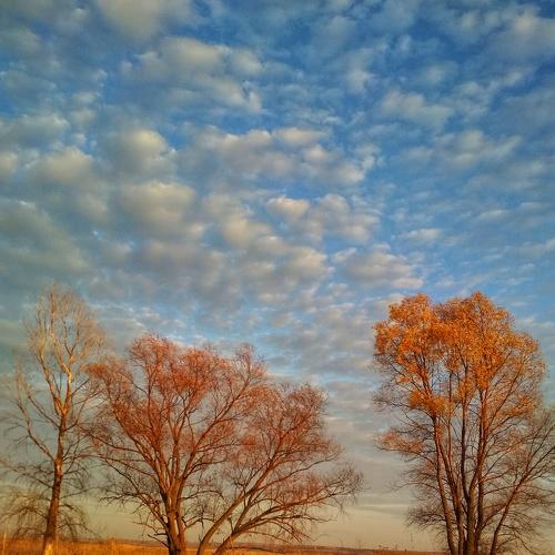 Photo #5114358