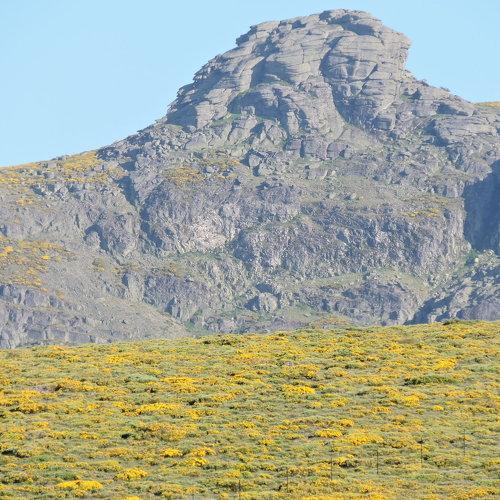 Photo #5114750