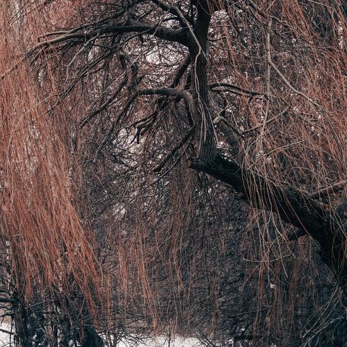 Photo #5114760