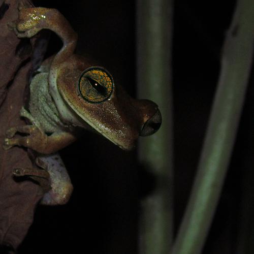 Photo #5114814