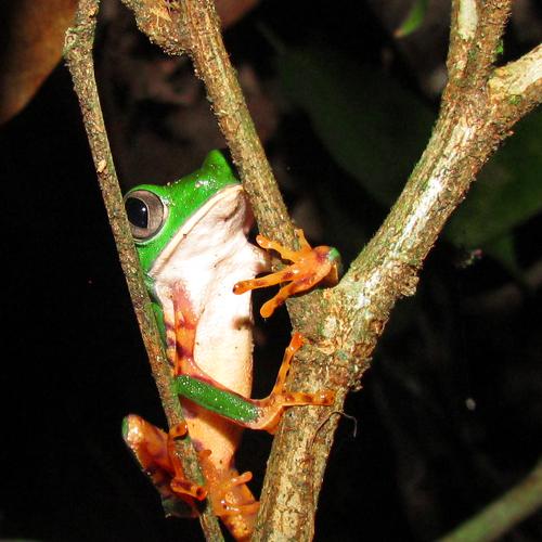 Photo #5114825