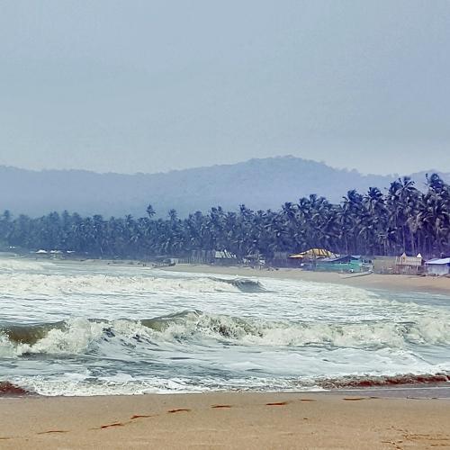Photo #5115052