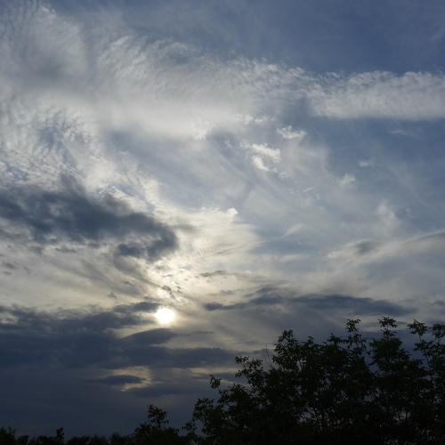 Photo #5115204