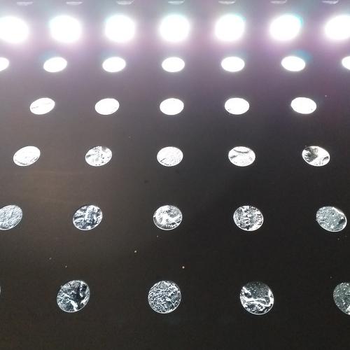 Photo #5115471