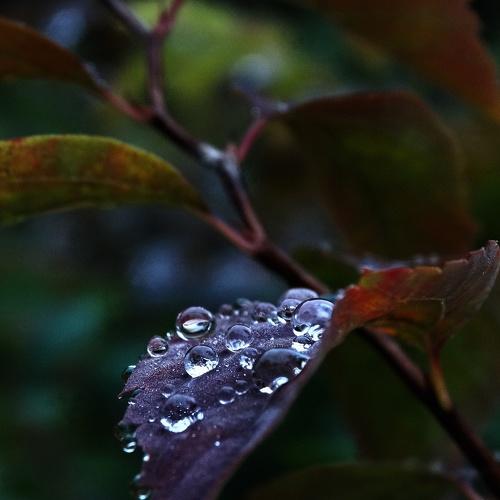 Photo #5115507