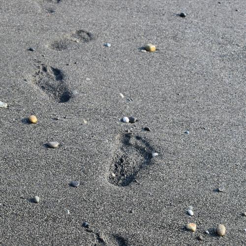 Photo #5116038