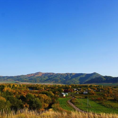Photo #5116087
