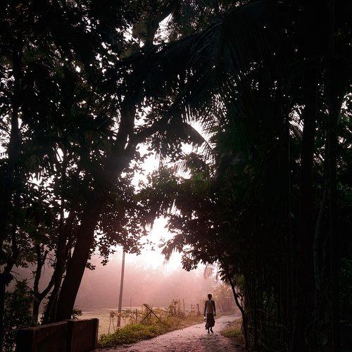 Photo #5116109