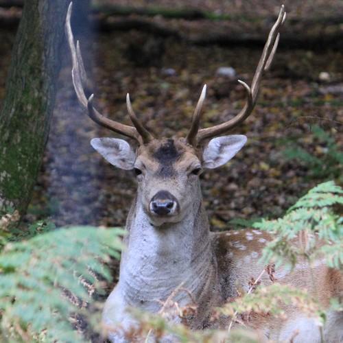 Photo #5116192