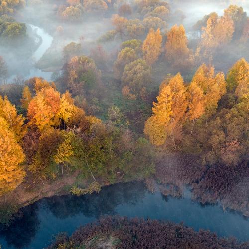 Photo #5116744
