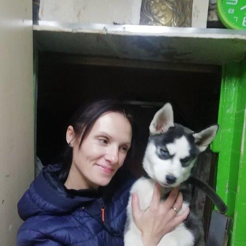 Photo #5117141