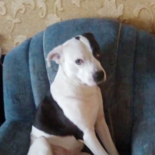 Photo #5117173