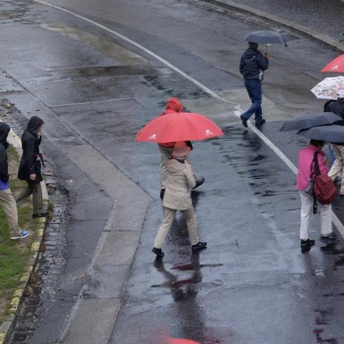 Photo #5117196