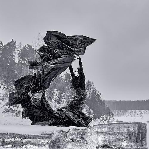 Черно/белые крылья Зимы