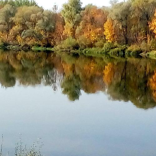 Photo #5118143