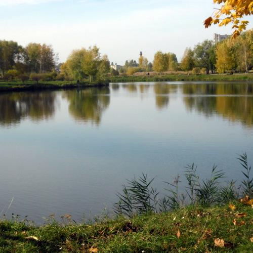 Photo #5118177