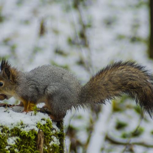 Photo #5118254