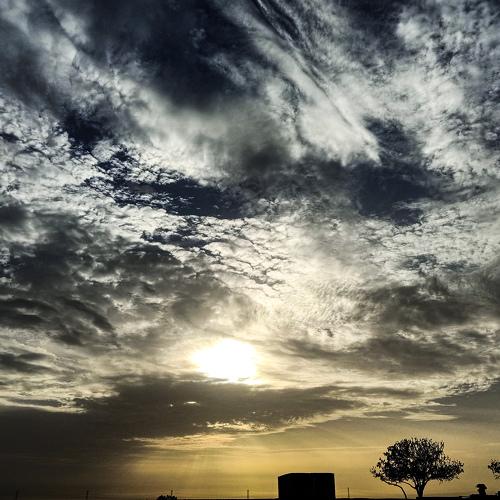 Photo #5118337