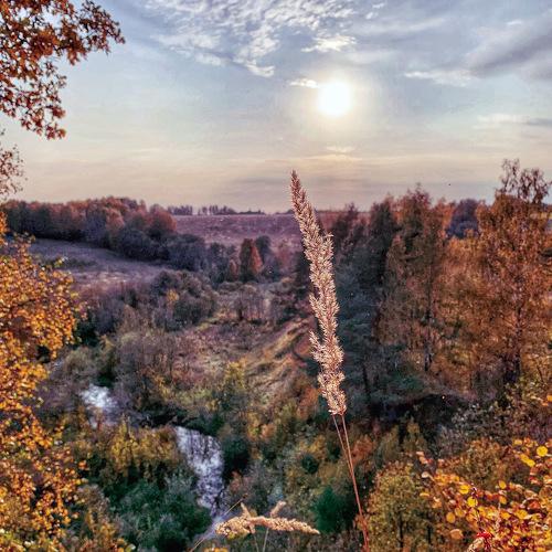 Photo #5119033