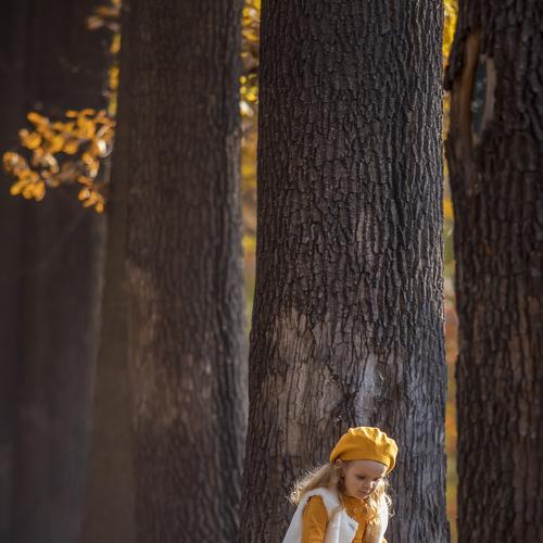 Photo #5119047