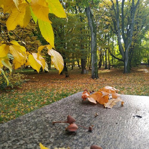 Photo #5119233
