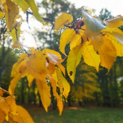 Photo #5119272