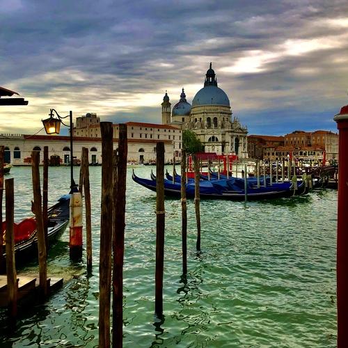 Photo #5119596
