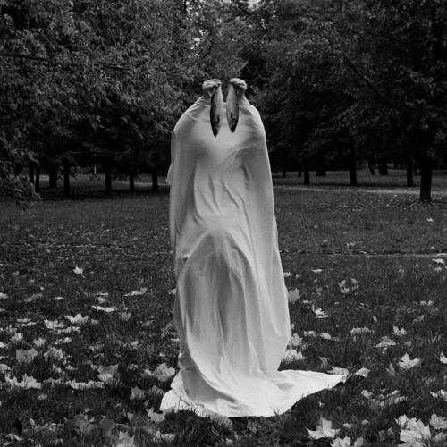 Photo #5120028