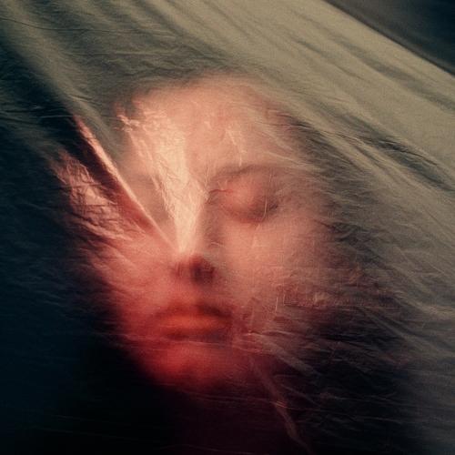 Photo #5120047
