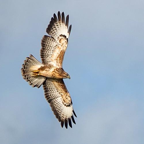 Photo #5120056