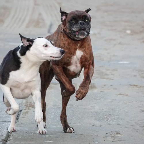 Photo #5120119
