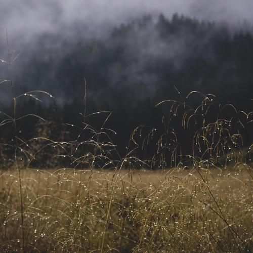 Photo #5120674