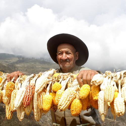 Photo #5120679