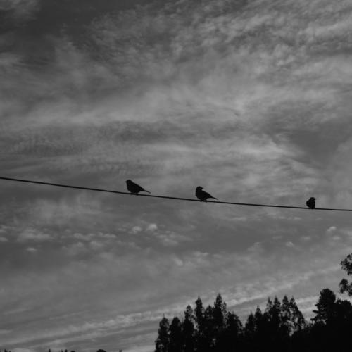Photo #5120749