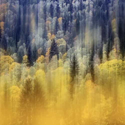 Photo #5121575