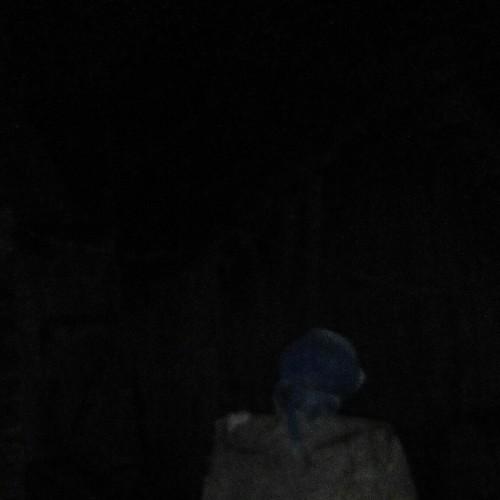 Photo #5122007